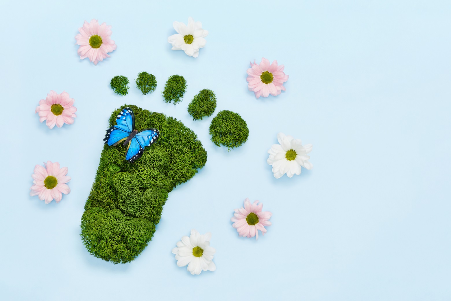 Planting tree Image