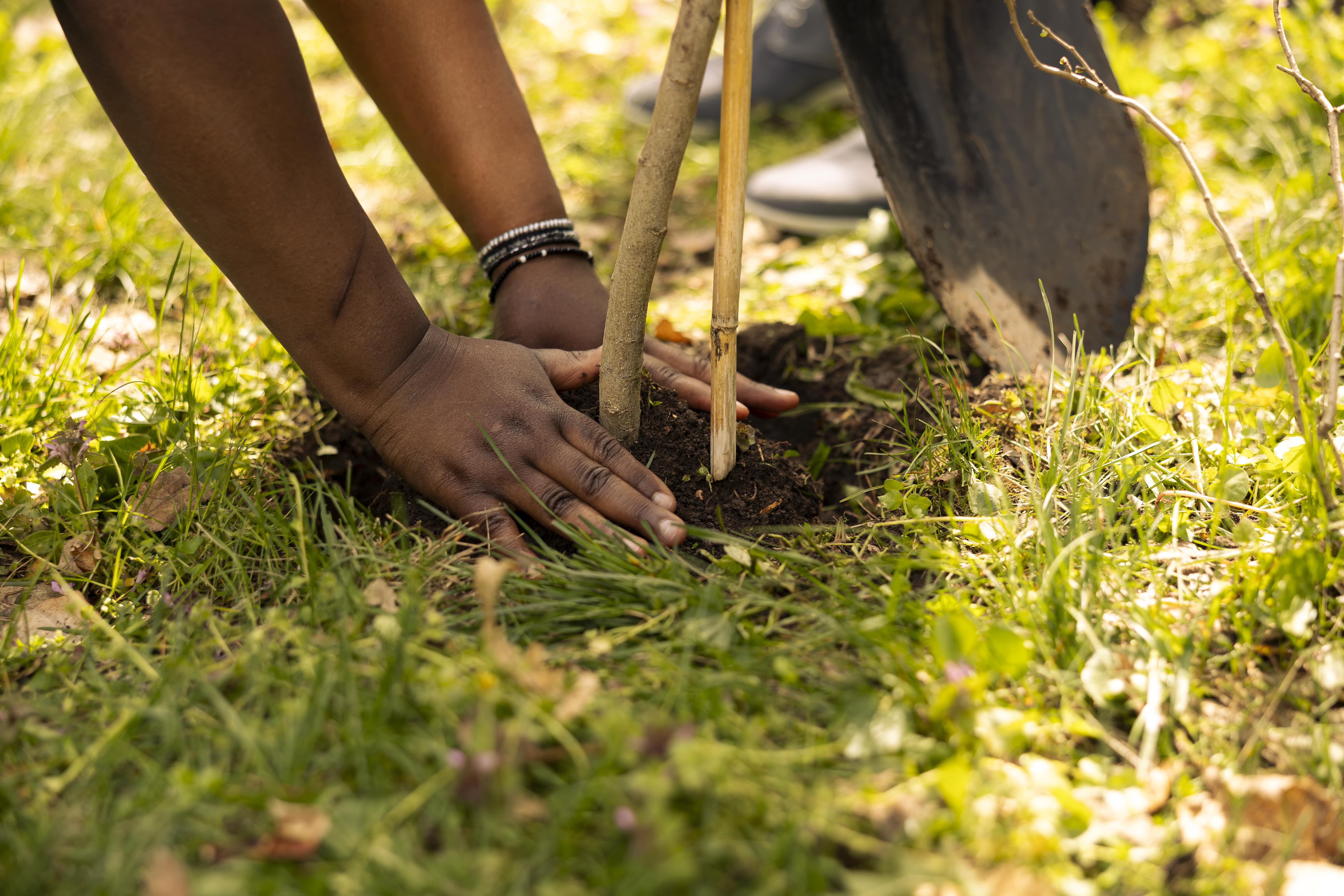 Environmentalists  Image